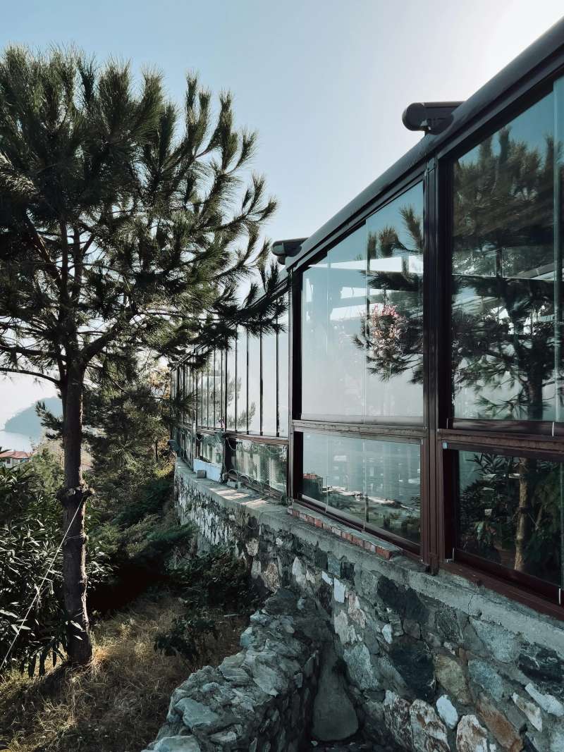 Lawn Mowing for Backyard